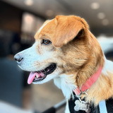 Entry image for Lulu