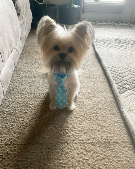 Entry image for Marco . Clicking this image will show a larger photo