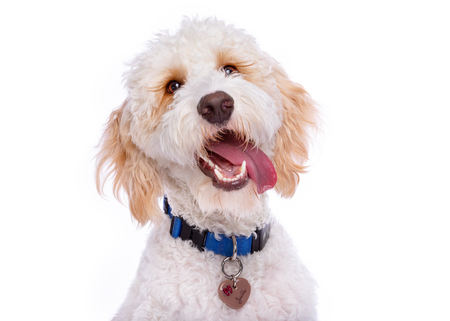 Entry image for Sullivan. Clicking this image will show a larger photo