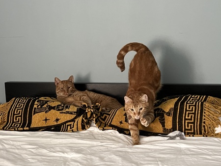 Randy and Cloud