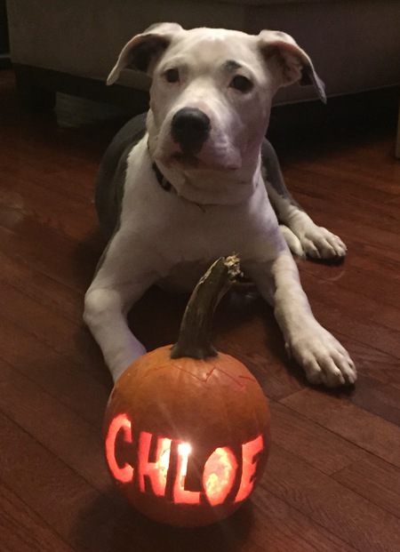 Chloe 