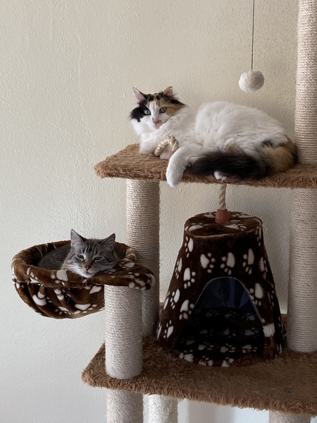 Pookie and Bella