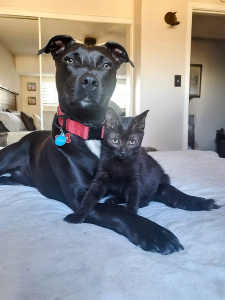 Bradley and Bella