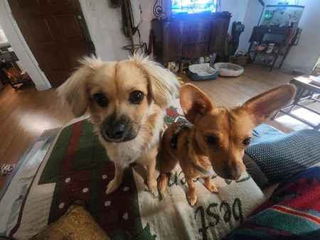 Bridget and Thimbelina
