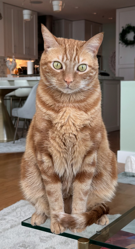 Vincent
