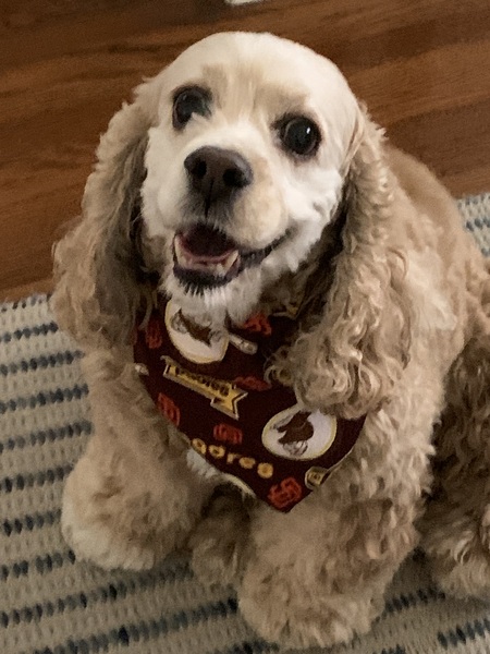 Maggie