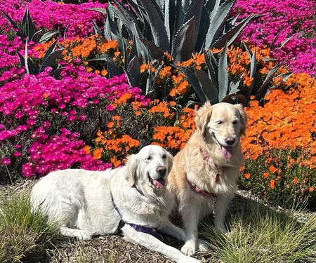 Elsa and Violet