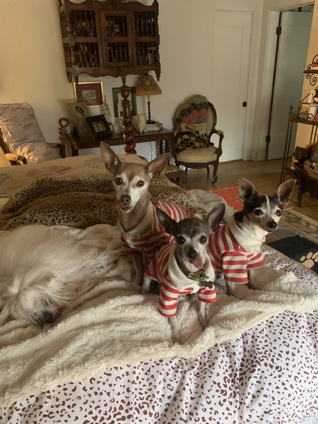 Tommy, Donny and Tippy