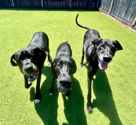 Leonard, Linus & Legend