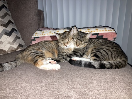 Cocoa & Gavin