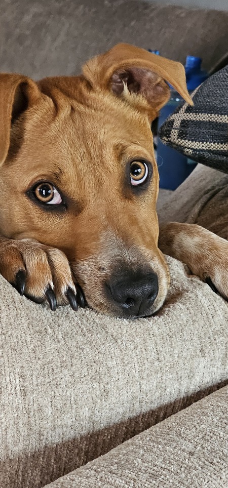 Fiona