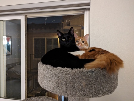 Willie and Franklin 