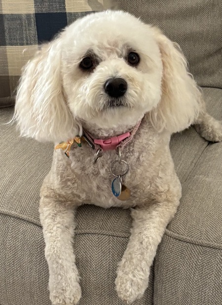 Skye