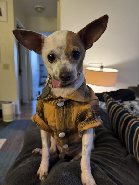 Carlos