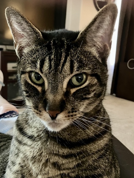 Max