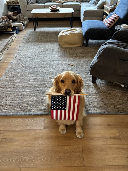 Entry image for Betsy . Clicking this image will show a larger photo