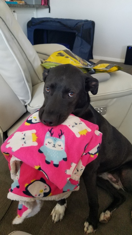 Ripley