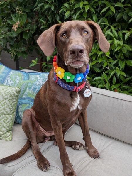 Entry image for Heidi. Clicking this image will show a larger photo