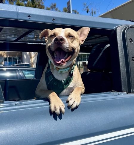 Entry image for Baby Jason. Clicking this image will show a larger photo