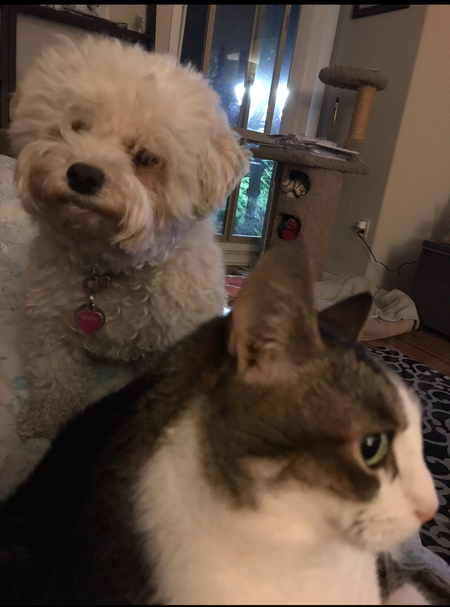 Lucy and Siara