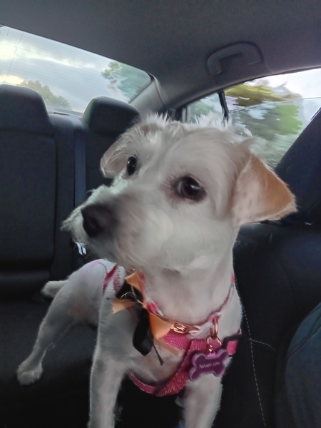 Sammy 