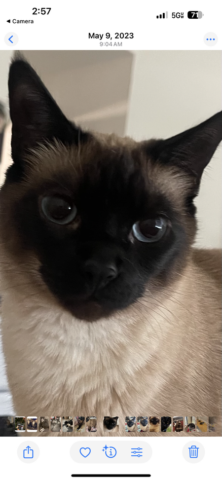 Jinx