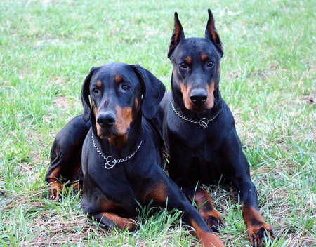 Yuma and Jackson 