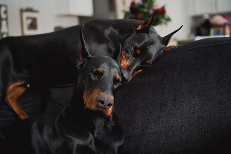Cairo & Kida