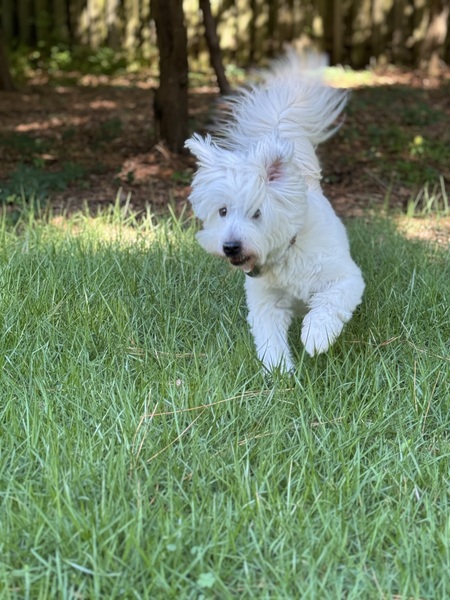 Benny