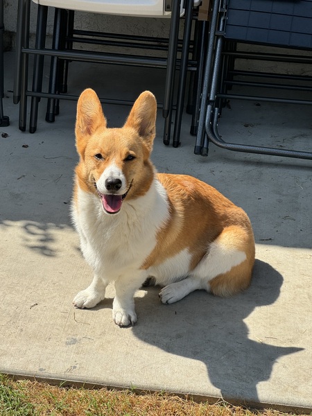 Walter