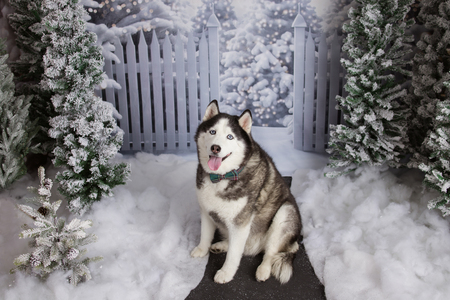 Oakley