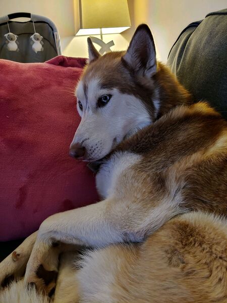 Max
