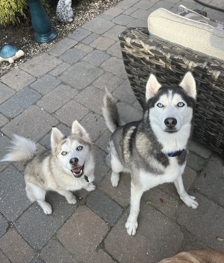 Brody & Blue