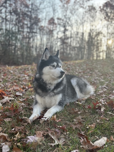 Luna