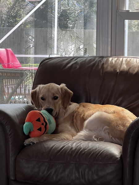 Molly