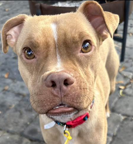 Ragnar (Rags)