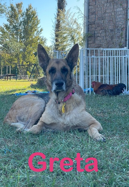 Greta