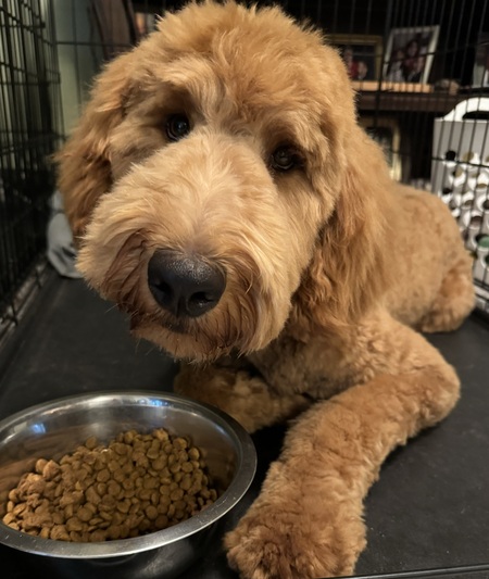 Cooper