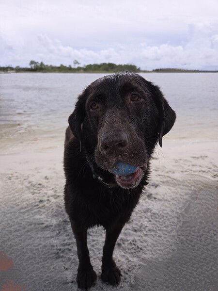 Bailey