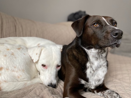 Lyric and Sage