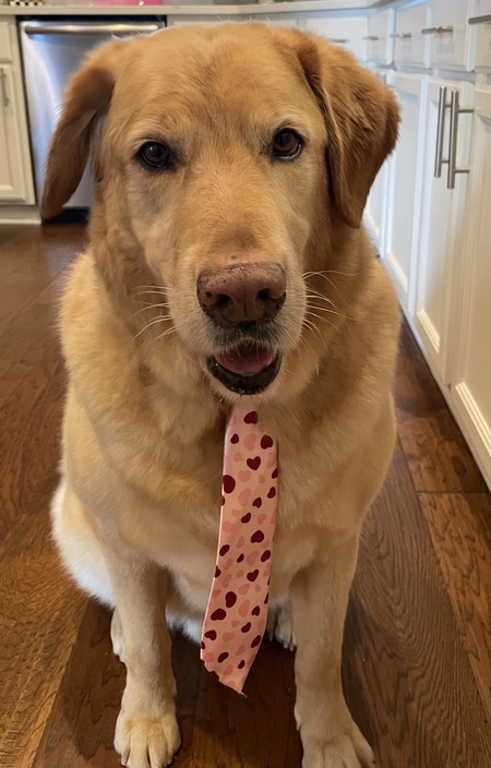 Buddy