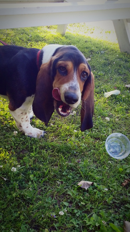 Stanley