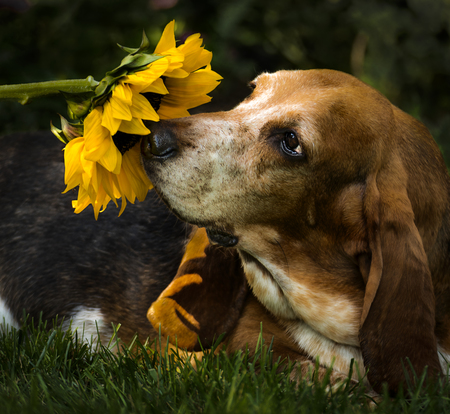 Ellie-Mae