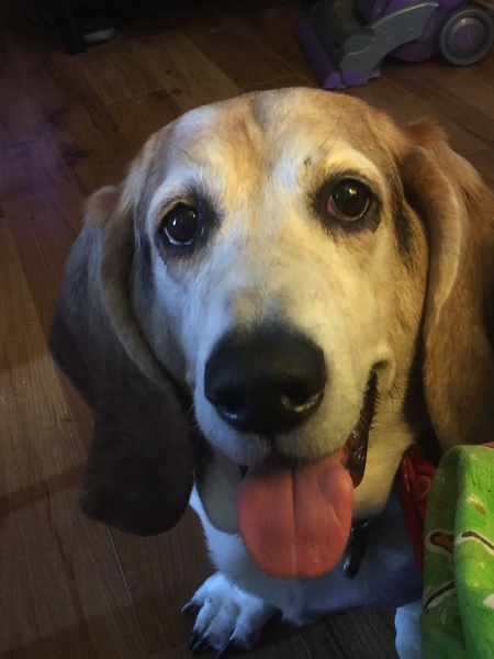 Zoe