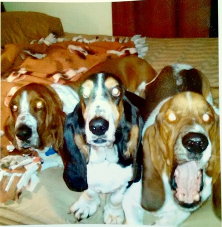 Duncan, Priscilla Jewels, and Jagger