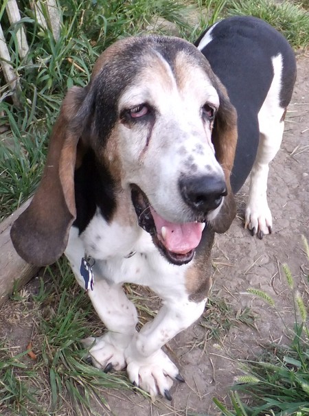 Max
