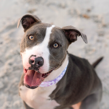 Zoey