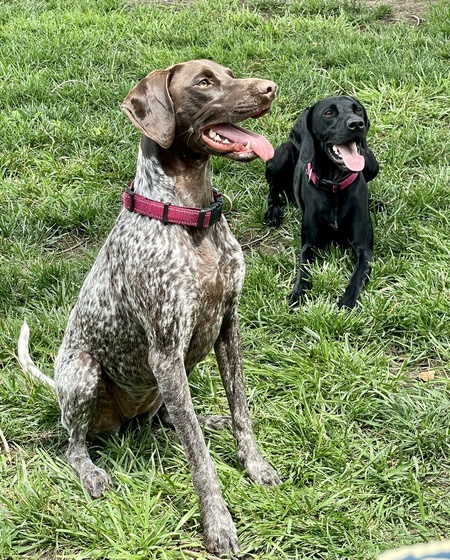 Lily Mae & Lexi Lou