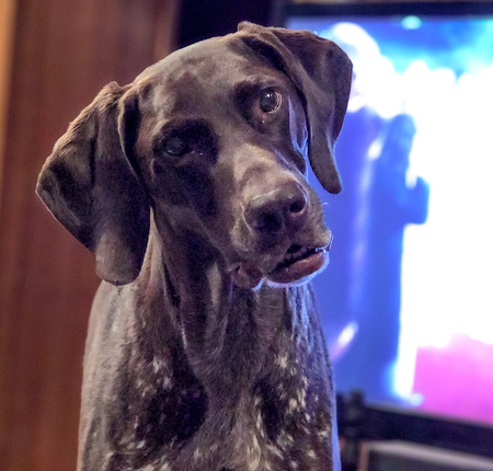 Hughie - AKA  Hoobs