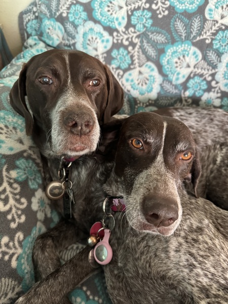 Jersey and Jenny 